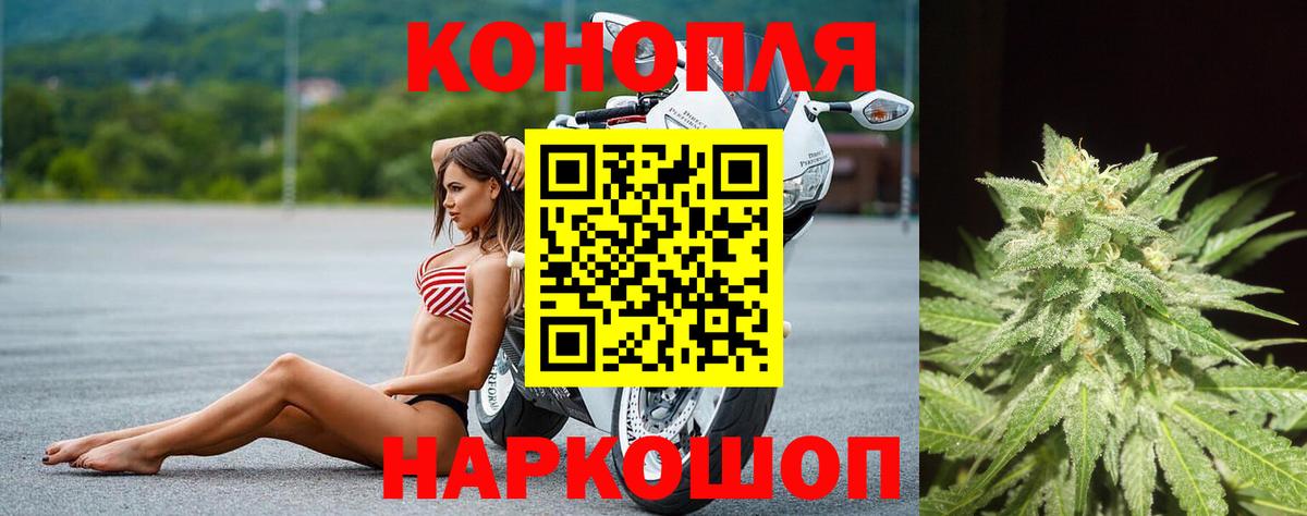 Коряжма  Конопля план  Вход с VPN  Шишки марихуана марихуана 